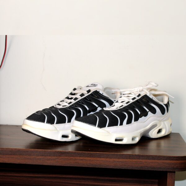 Nike Air Max Plus