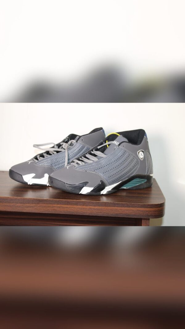 Air Jordan "Light Graphite"